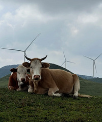 �������ܲ��ܳ������ܣ�һ��ѡ�񣺲���糵