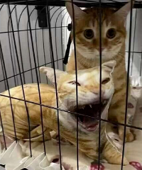 身边爆笑事件大赏