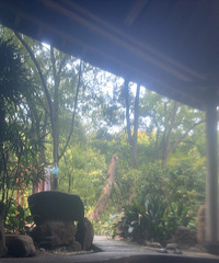 一个人泡温泉是孤独几级?