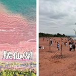 被网红景点诈骗的游客