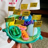 全国统一作业都做这个