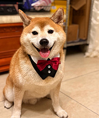 �����������̸Ƕ�û�ҷ���