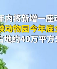 万州三峡动物园预计年内竣工