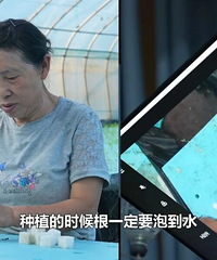 36��̱��С�翿�ֲ˾���ȫ�����Բ������˲������ҵĶ���