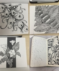 分享零基础输出型爱好