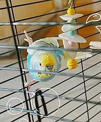 ����һ�����еĴ���С�ɰ�