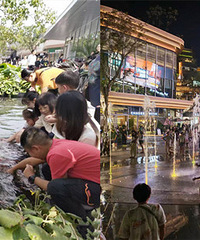 лЩ˵⻷԰ǵģ˶ൽ