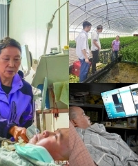 瘫痪小哥开农场种菜