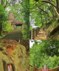 歌乐山小众徒步秘境