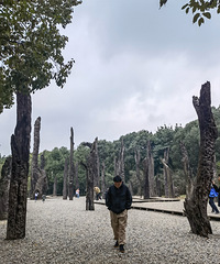 95173CMinfjЫӪС飬ѡ