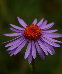 90年不抽烟不养宠物的哥子征婚,希望对方88~95年