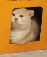 1016ֵ moodyͫ10Ƭ28ղĪ