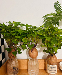 ˮ����Ļ���񫣡̫������