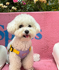 �������ĵ�ʱ����Ļ�ЦҮ