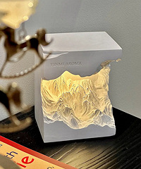 �����͵����ս�ɽ��޹�ƺ���