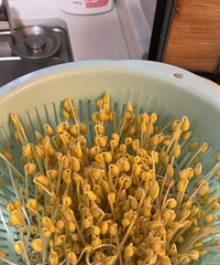 4��ʱ�䣬��ѿ�ͳ���ô���ˣ���ĩ���Գ�һ����