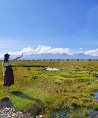 ����������ϴ�룬�ɺã�