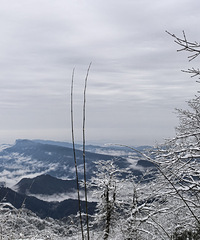 ��������ڻ���������