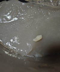 ����������