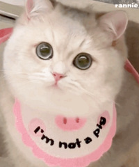 ֵ򡿰ջԱ꿨107Ϳͷˢ16֧29