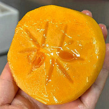 脆柿品种还是太秋好吃