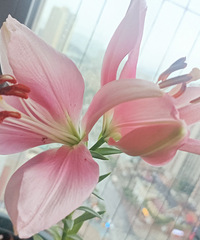 90겻̲ĸ飬ϣԷ8895