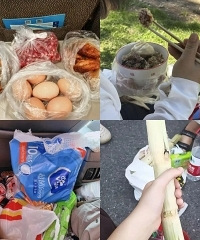 父母旅游能带多少干粮