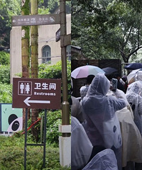 外地人赶高铁,打飞的都要过来看!