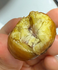 [Ƽ]ͬ˵İóԣƼǨóԿ