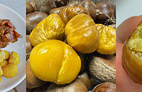 ֵ԰ļڣʵƼǨĺóԿ