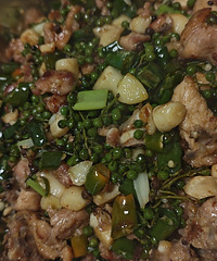 ���շ������໨������ ��Ծ�������ʳ