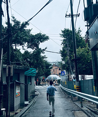 又是雨季,难免有点忧愁