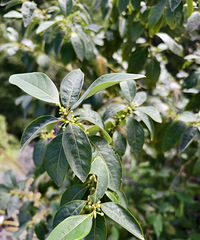 սɽ12壬һҪѡЬӣЬˣ