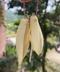 ���ڶ�����ɻ�