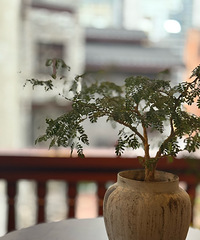 ���Ա�ø��õ���ϲ�Ƽ�