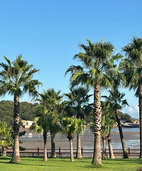 [�Ƽ�]��ɽ�ĺ��滹ͦ���ģ���ɳ����ɳ������ɽˣһȦ