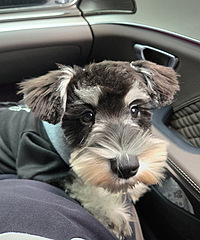 ������粻��û���޹�