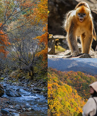 ھȥԽ뿴4г˾490