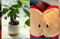 ����Ů����ƴϦϦ����ù����úܺ��õĶ���