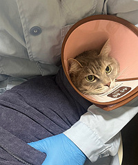 ���º�è���»�ˮ����cry