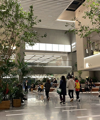 �Ҹ����ʵ���һ��ȥ���пɺ�ѽ