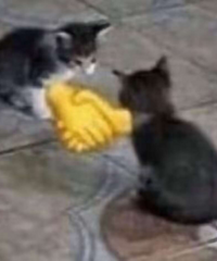 ���г����ǽ����˼�۲�ĺõط������źܶ�������ѧ