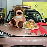 分享Smart#1提车记