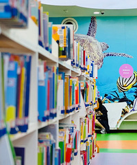 解锁绘本最多的图书馆