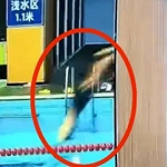 男子头朝下跳水去世