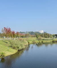 ����40�������������º����䣬�ܱ�������Ҹ�