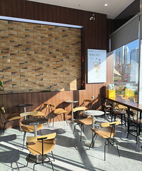 A���ȵ���è������