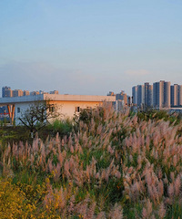 新开的公园江景超美