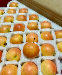 ��һ�γ��Ϲ��棬�����棬���������á��йɾ���ζ