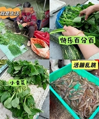 菜市藏着很多生活哲学